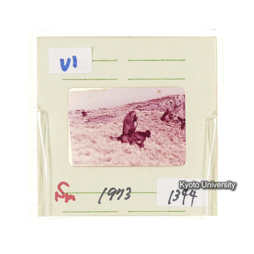 Sm　1973　1344 (2)