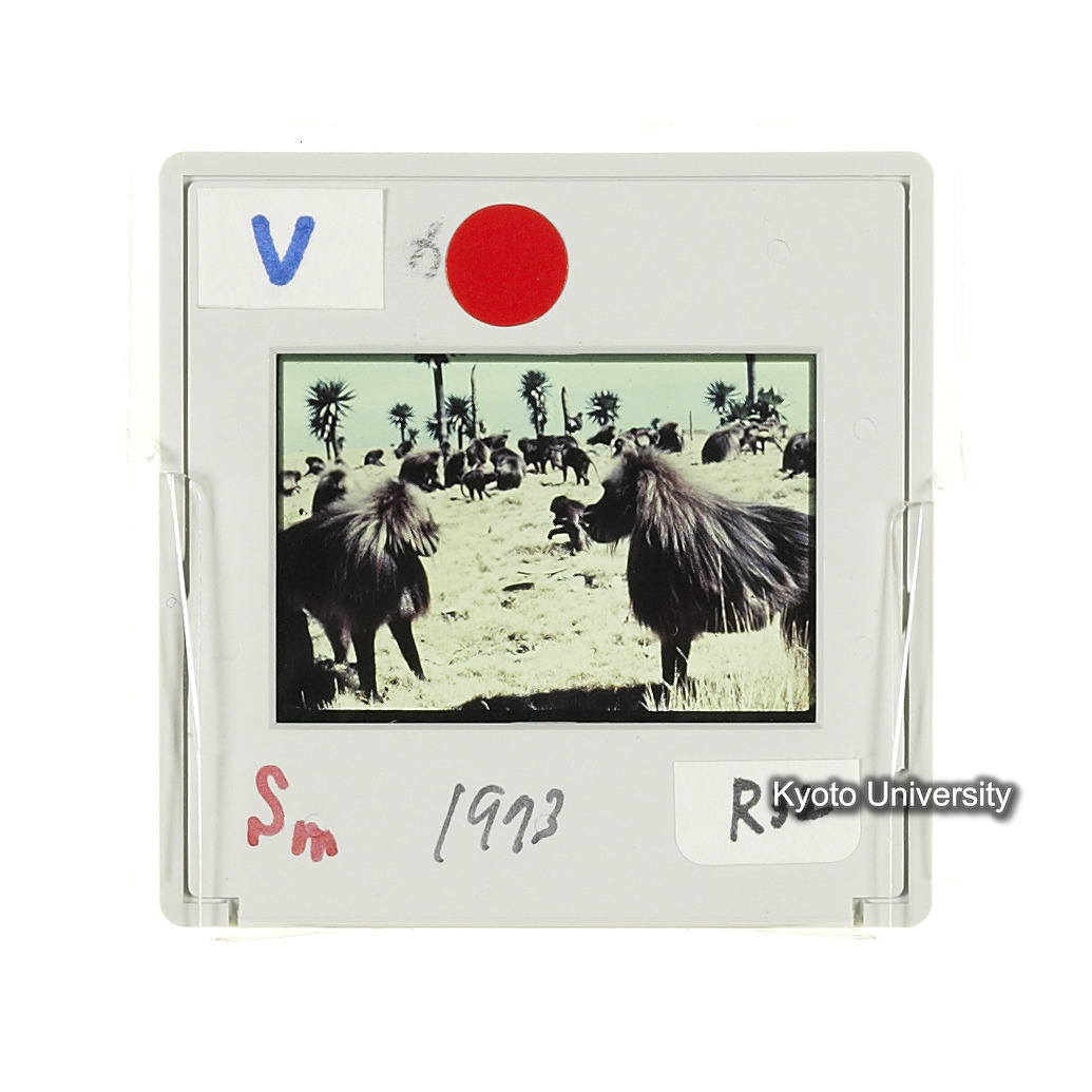 Sm　1973　R32　●[赤色シール] (2)