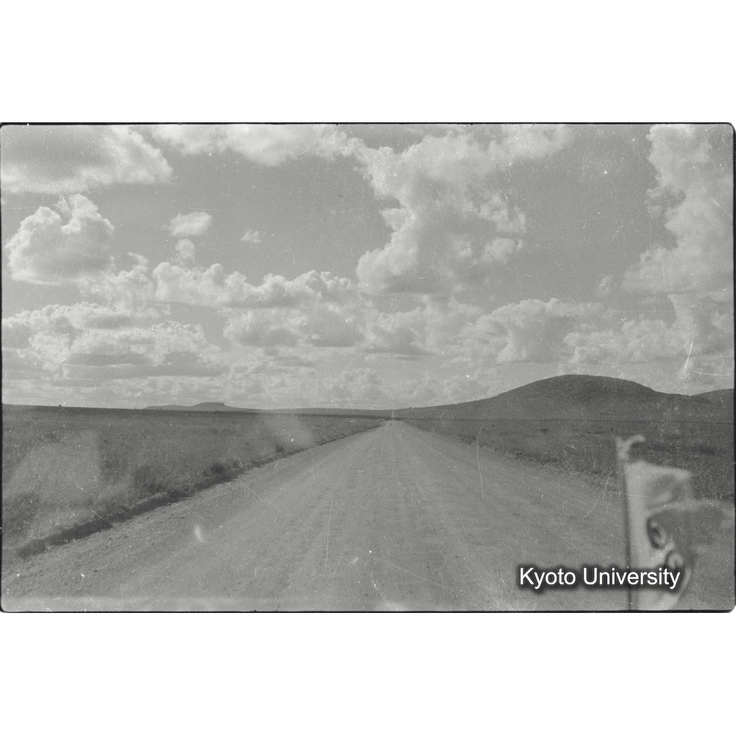 [32コマ目]「サバンナを走る道」 (1)