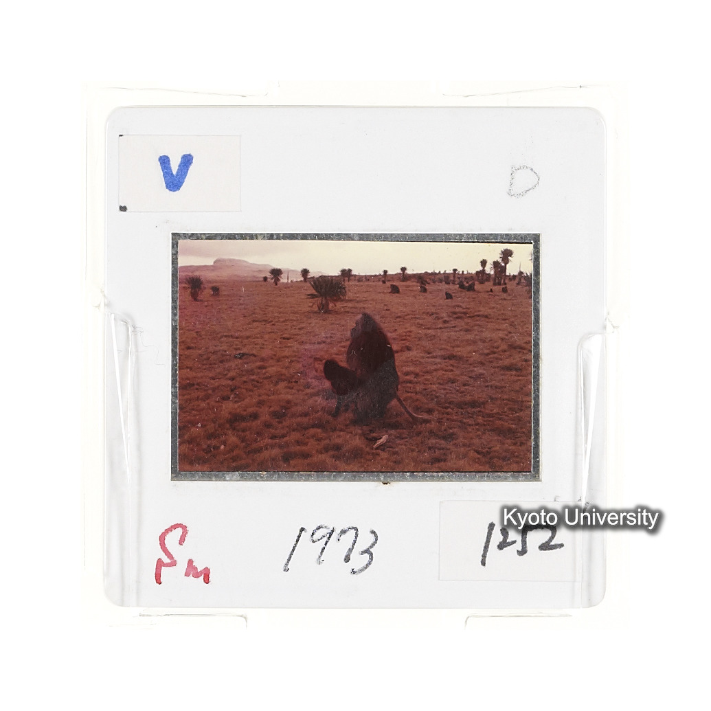 Sm　1973　1252 (2)