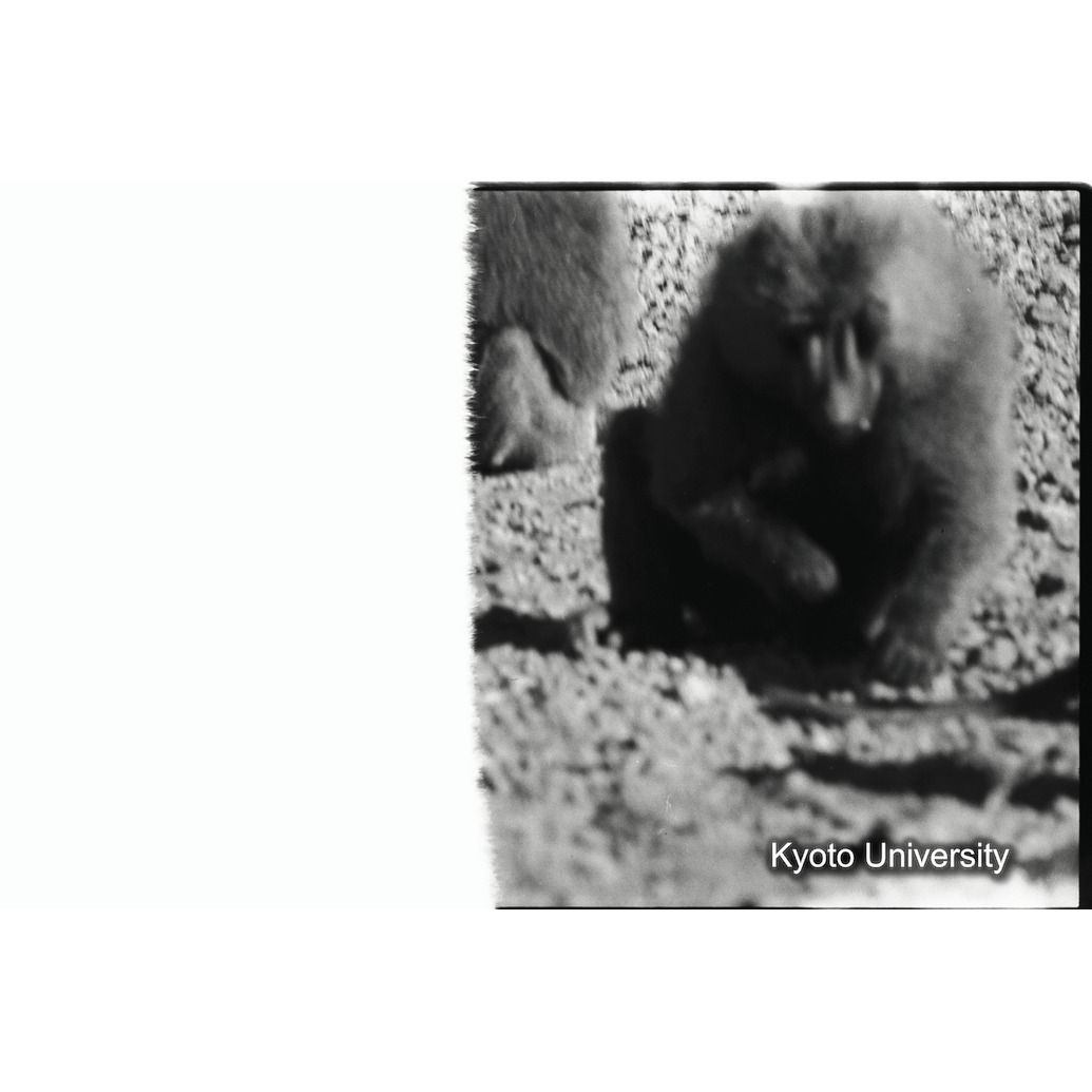 [１コマ目]「×」 (1)