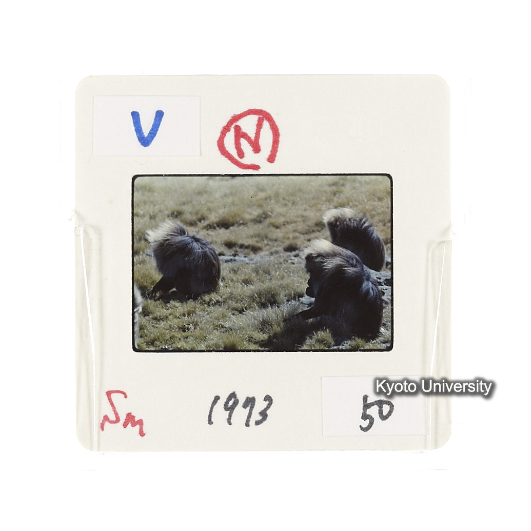 Sm　1973　50　（N）[赤色, 丸囲み] (2)