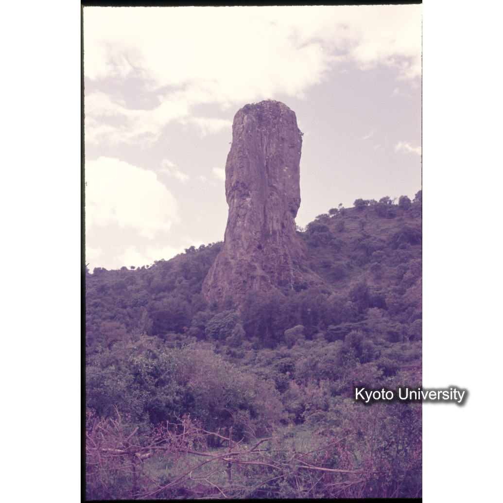 Sm　1973　1096 (1)