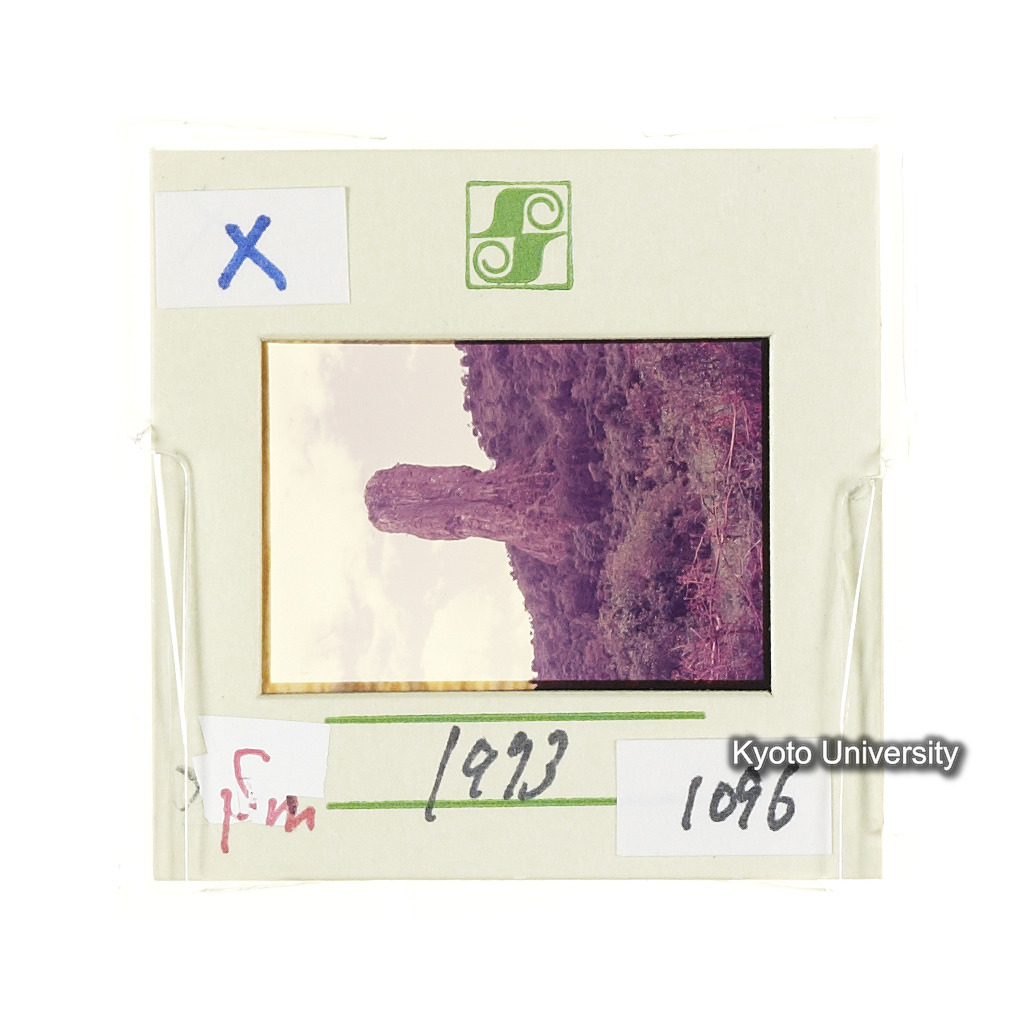 Sm　1973　1096 (2)