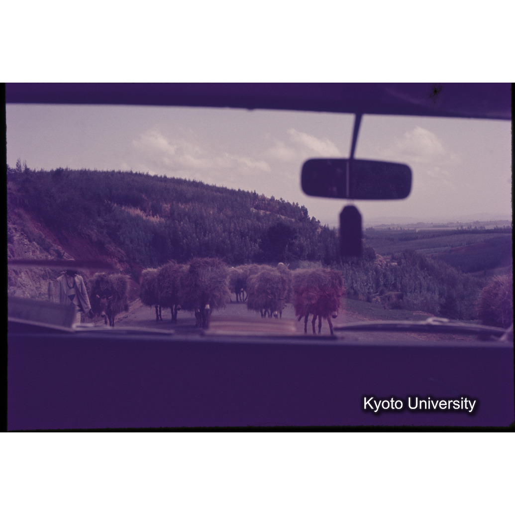 Sm　1973　1099 (1)