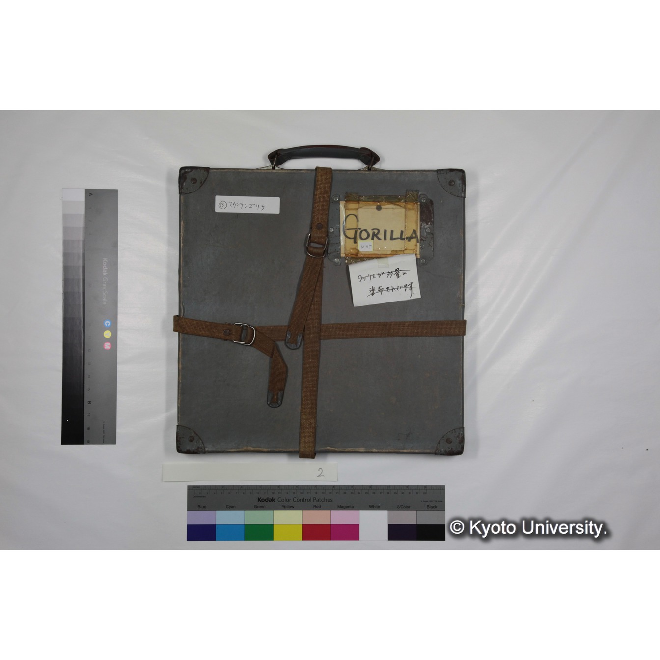 [ケース]2「ゴリラ探検 （1959)」 (3)