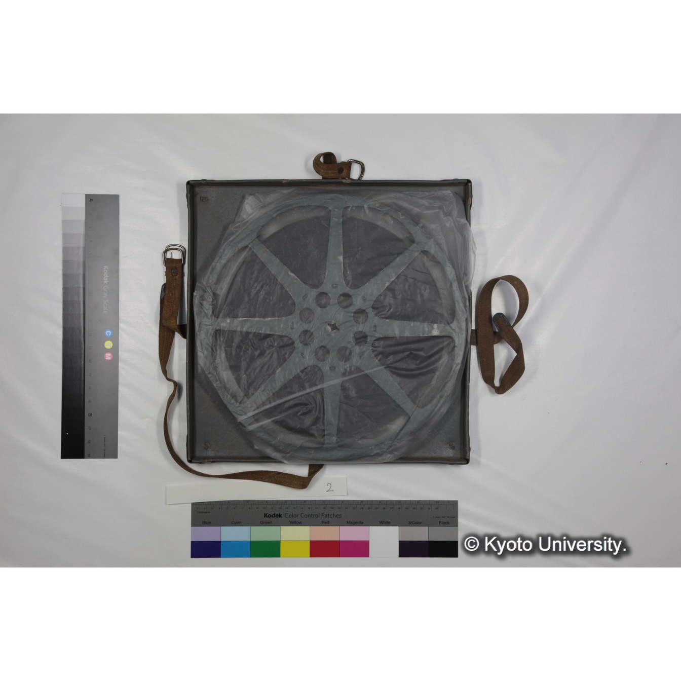 [ケース]2「ゴリラ探検 （1959)」 (4)