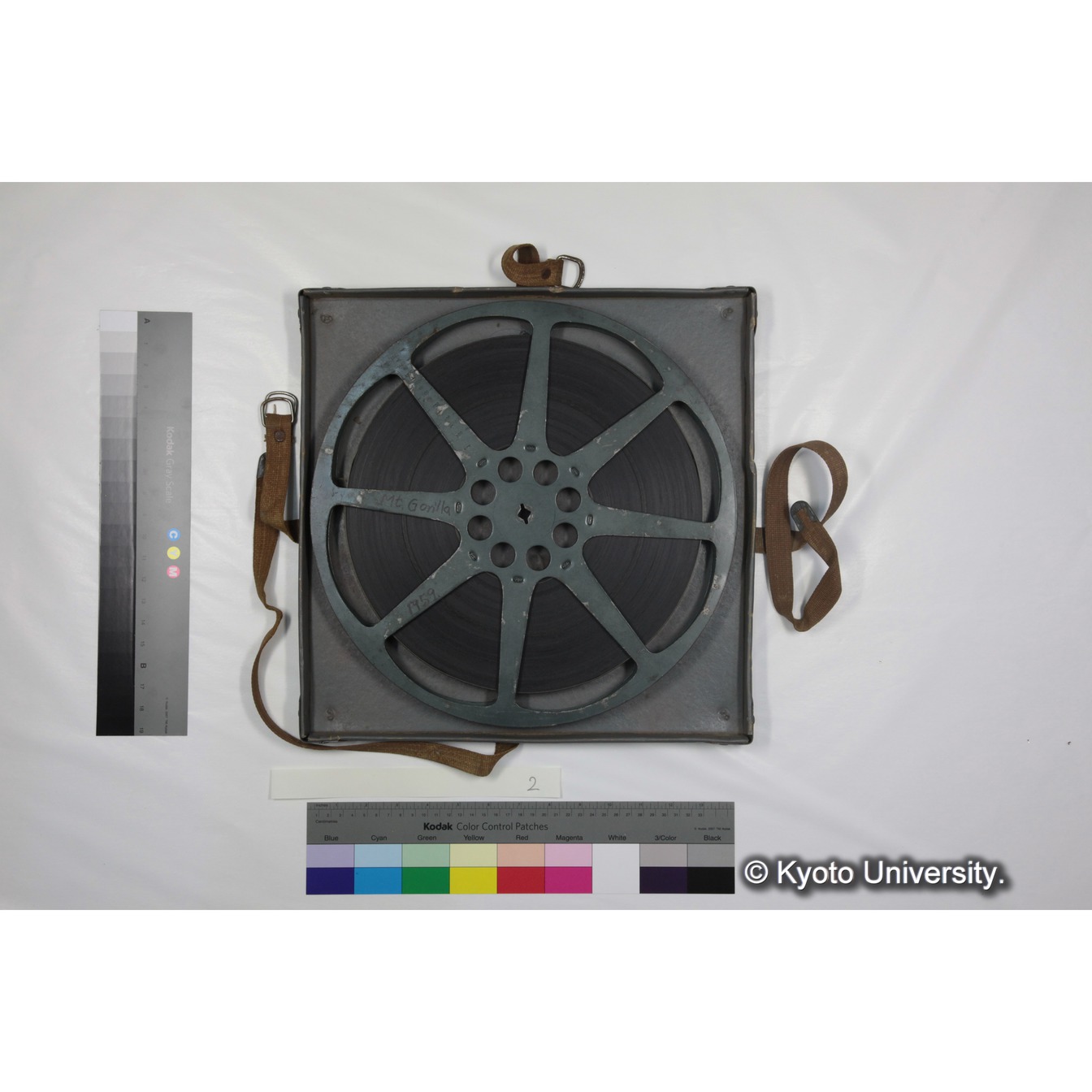 [ケース]2「ゴリラ探検 （1959)」 (5)