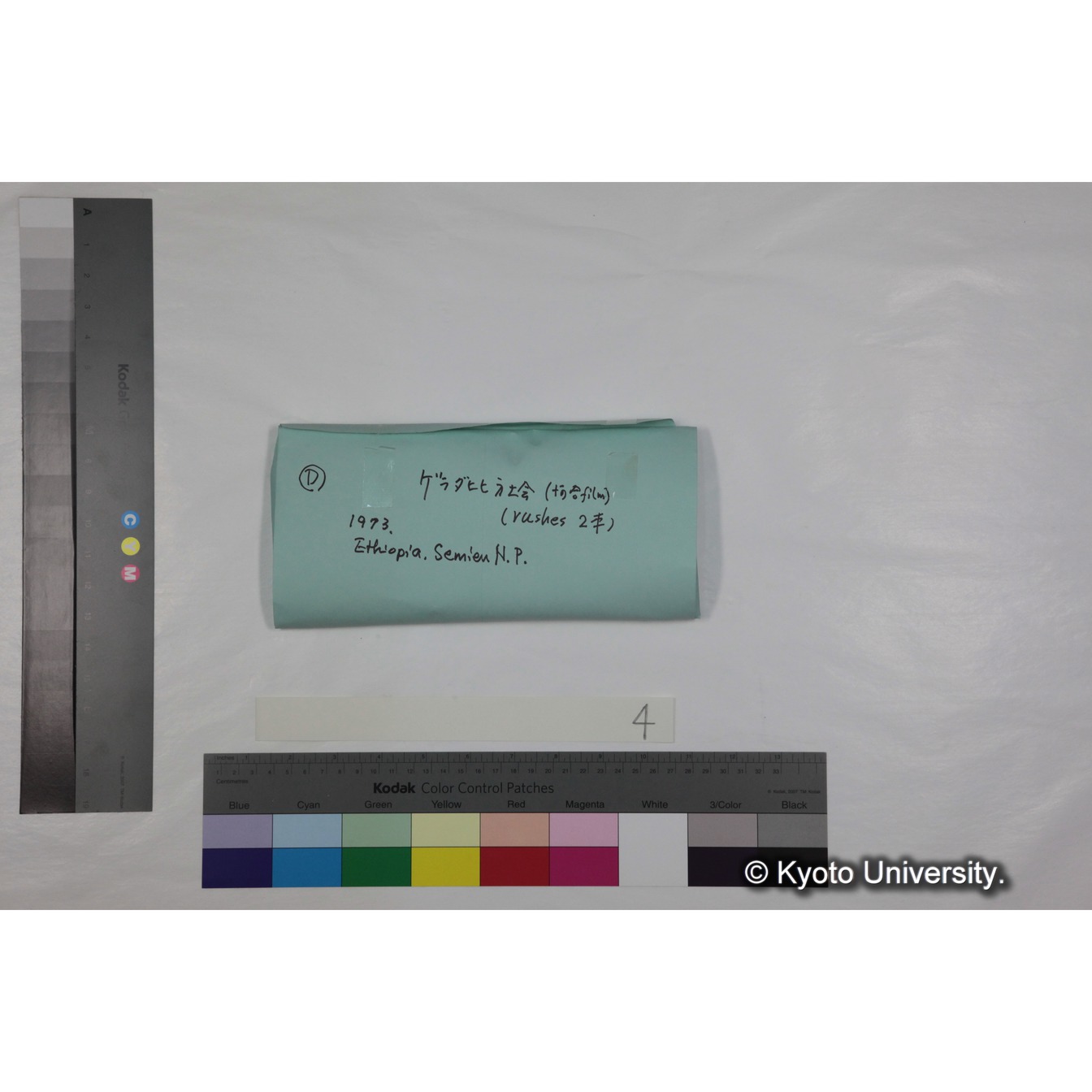 [ケース]4「ゲラダヒヒ，セミエン(1973)素材」 (1)