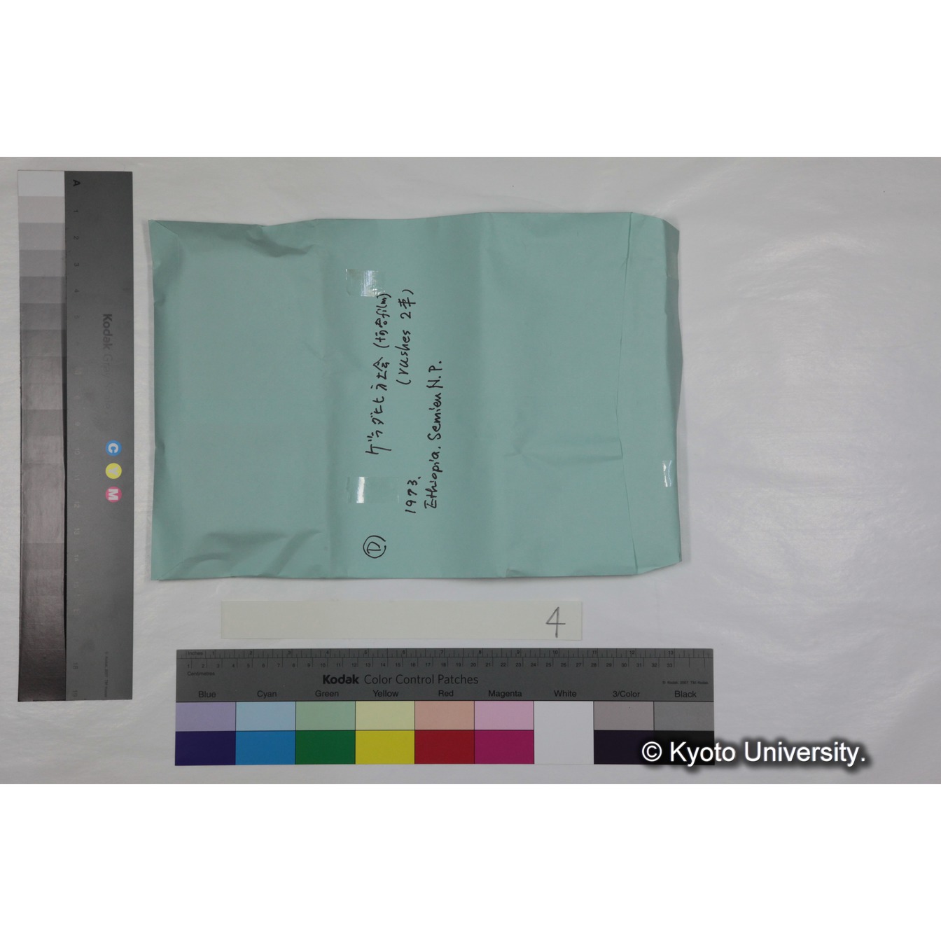 [ケース]4「ゲラダヒヒ，セミエン(1973)素材」 (2)