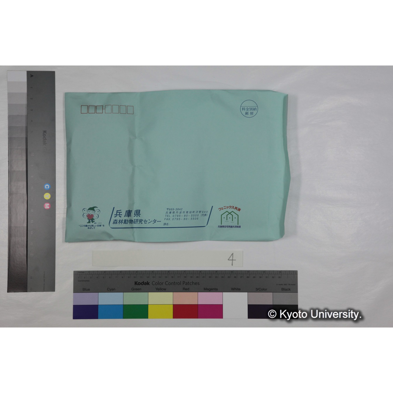 [ケース]4「ゲラダヒヒ，セミエン(1973)素材」 (3)