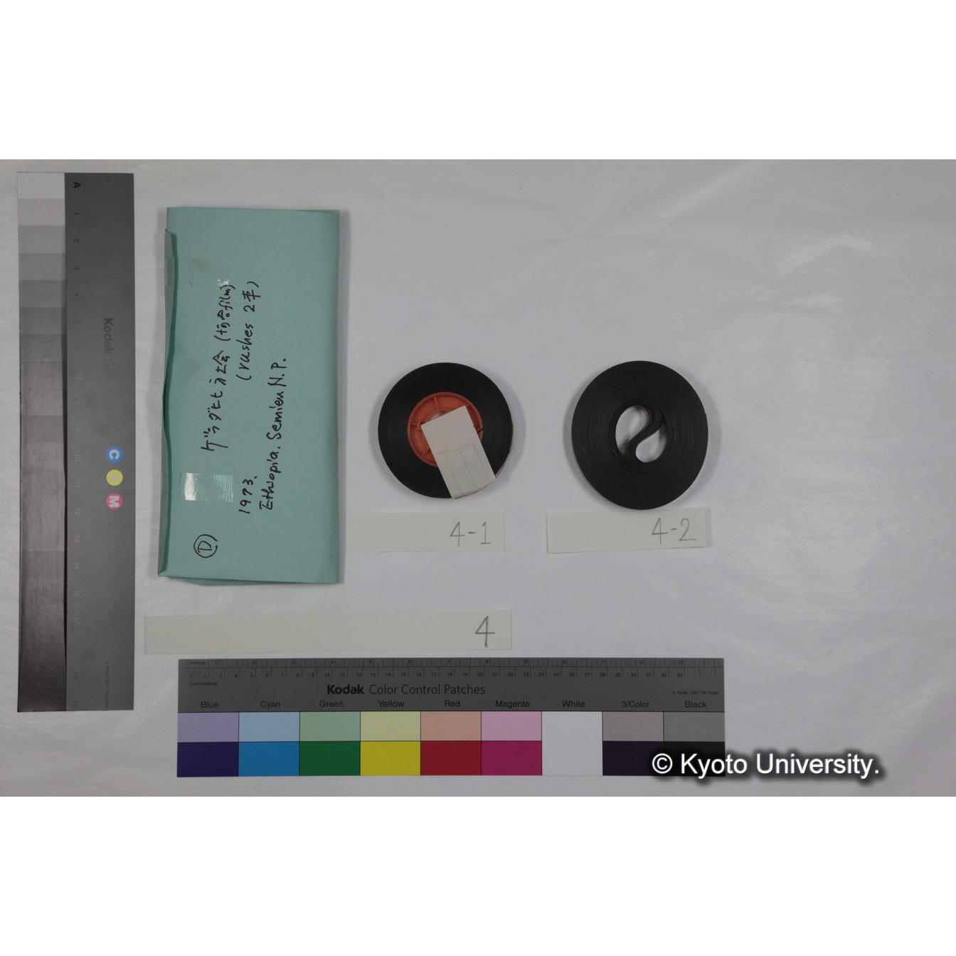 [ケース]4「ゲラダヒヒ，セミエン(1973)素材」 (4)