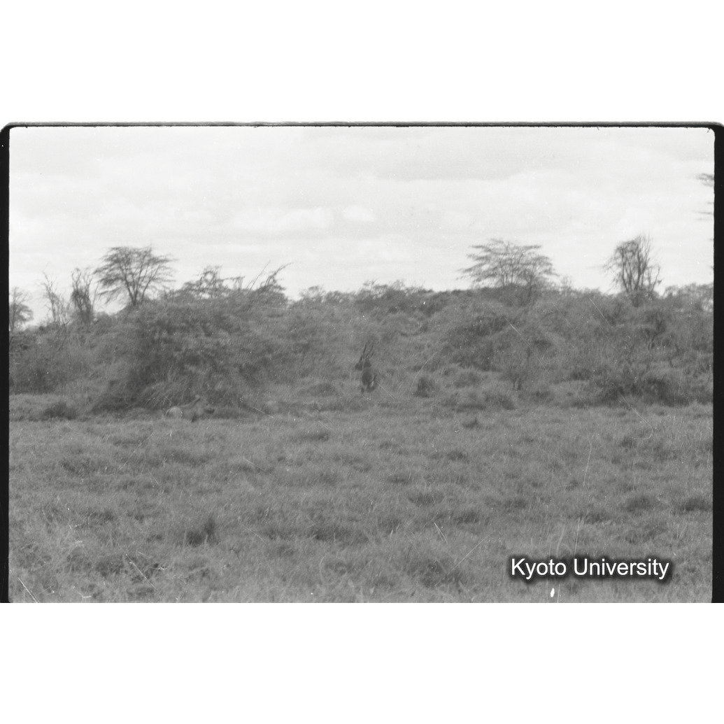 [27コマ目]「×」 (1)