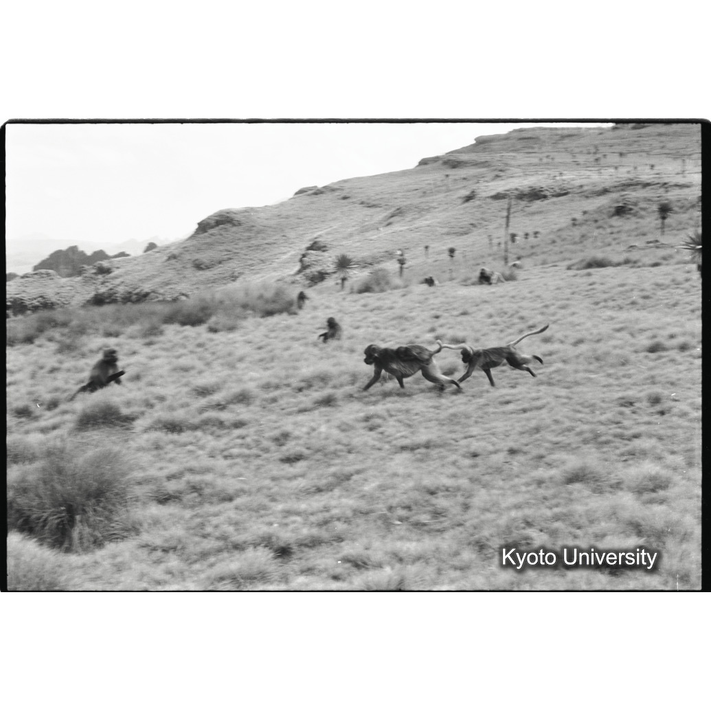 [３８コマ目]「走る」 (1)