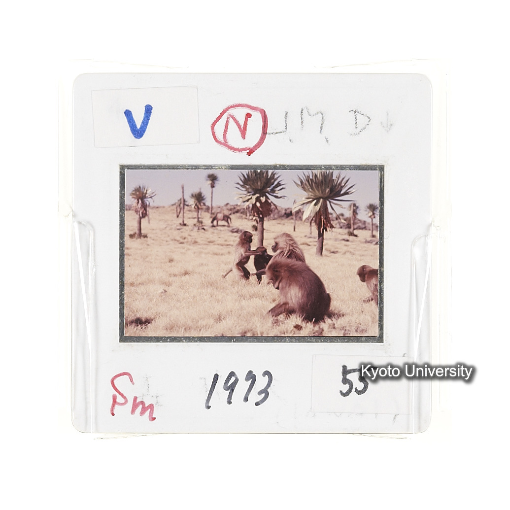 Sm　1973　55　（N）[赤色, 丸囲み] (2)