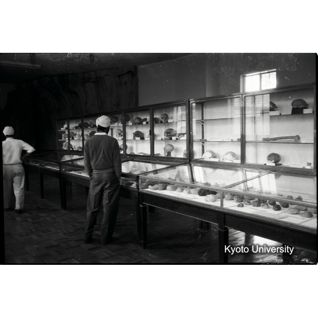 [34コマ目]「考古学資料展示」 (1)