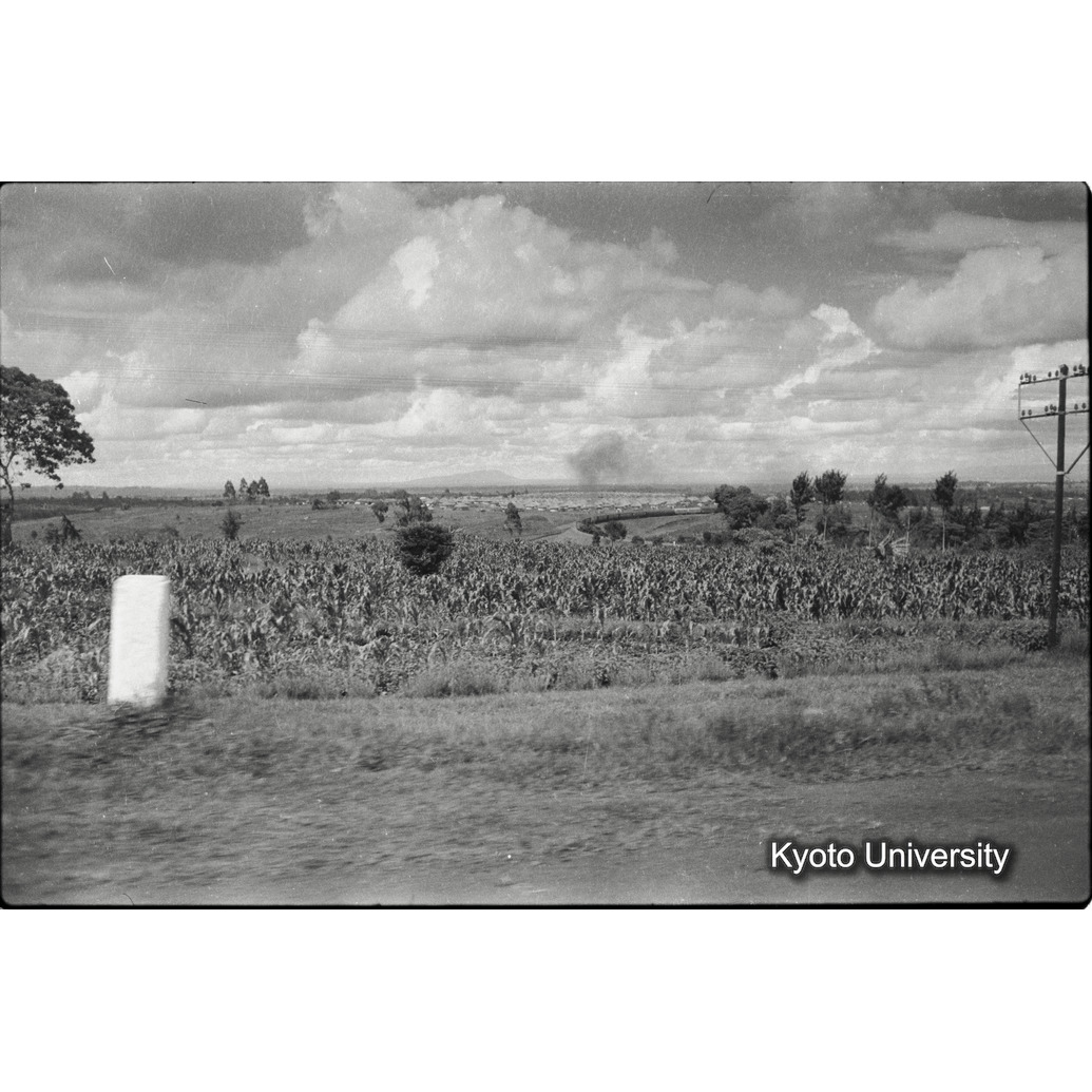 [19コマ目]「畑（２）」 (1)