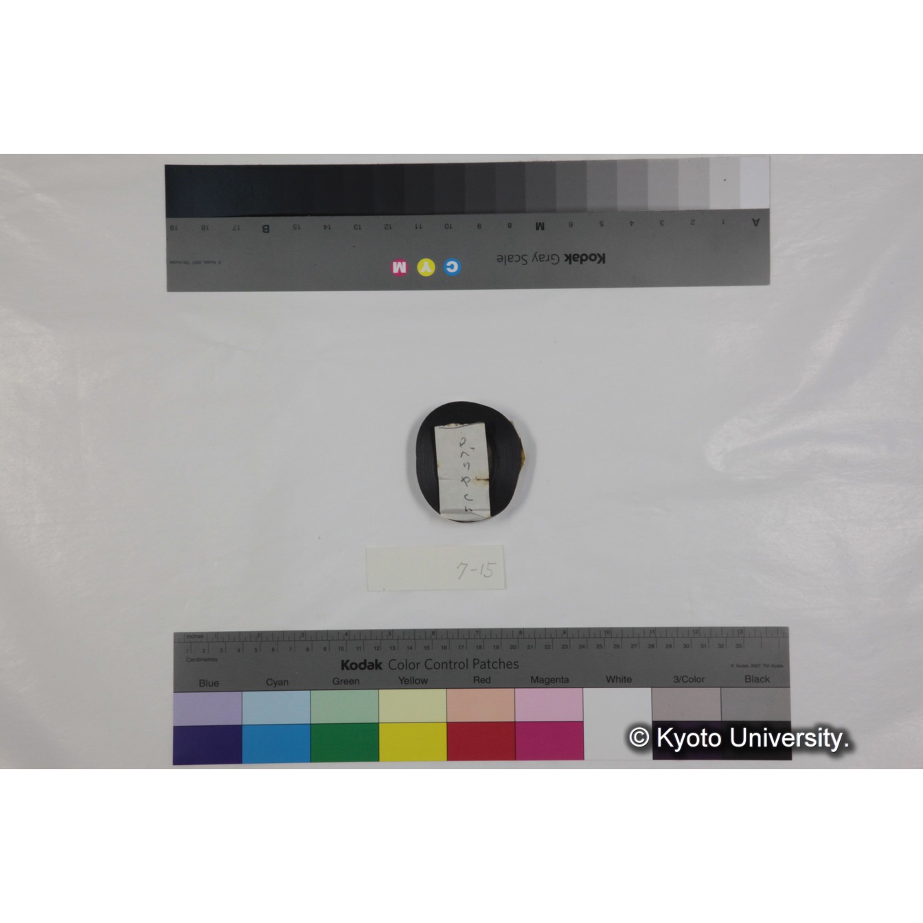 フッテージ１５「ロベリヤcn」 (3)