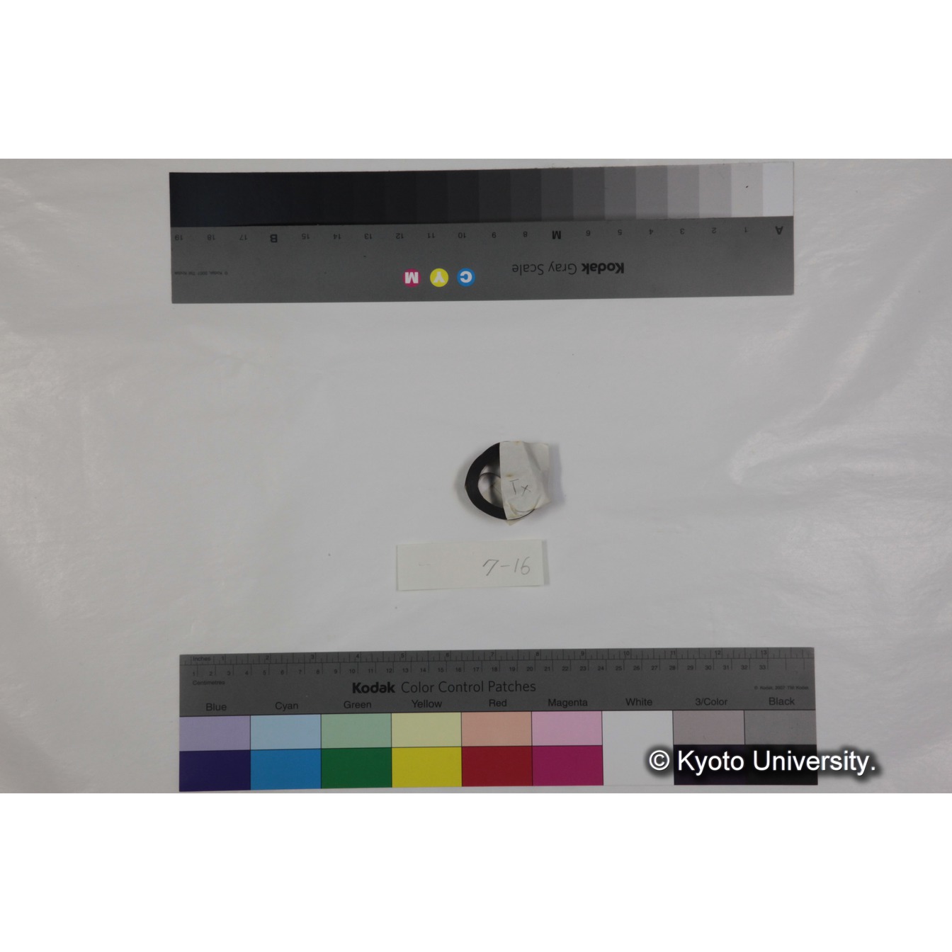 フッテージ１６「Tx」 (3)