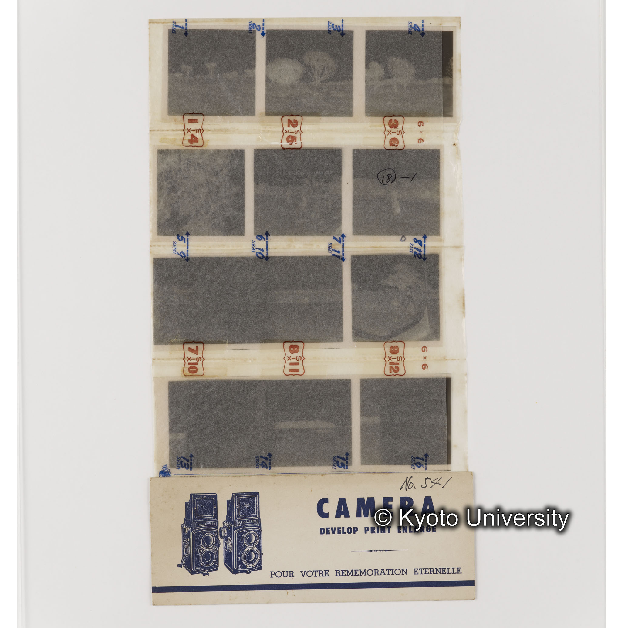 [ネガフィルムスリーブ9]「５４１」 (1)