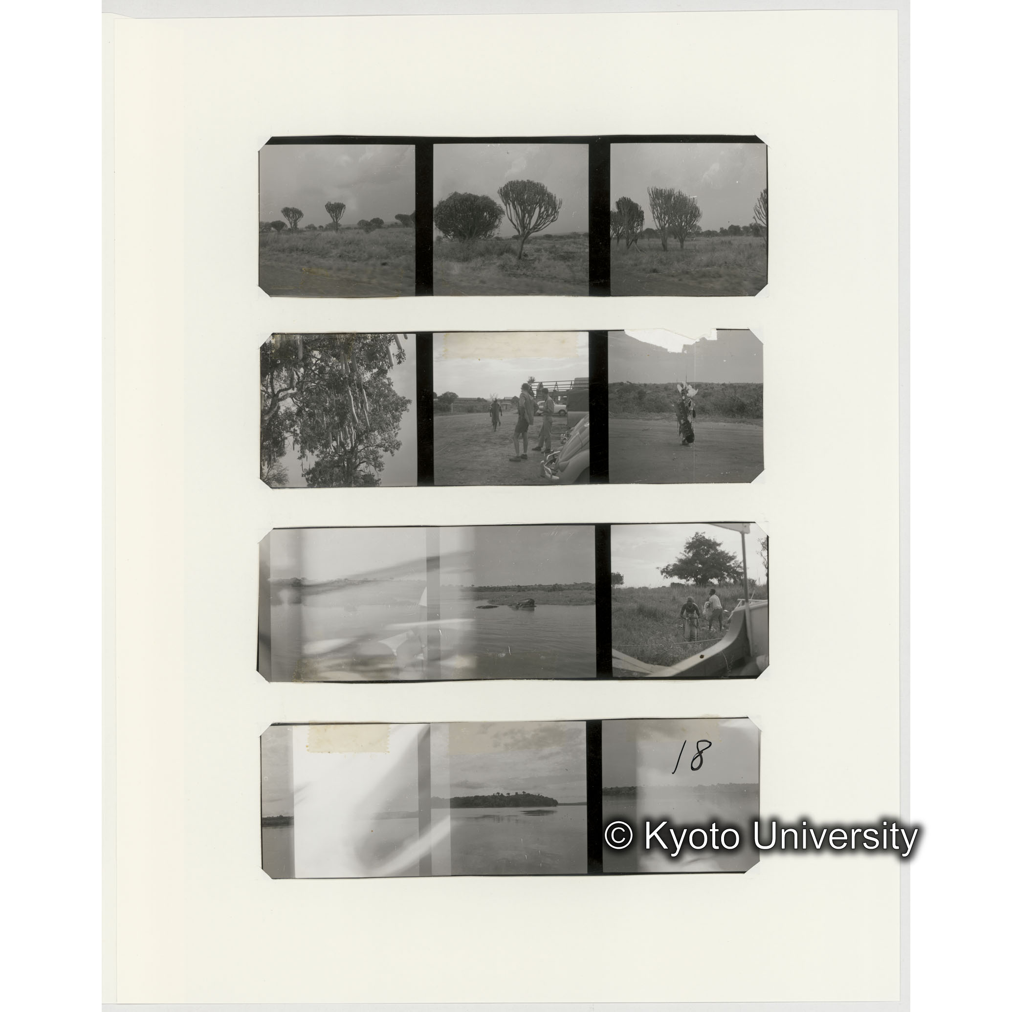 [ネガフィルムスリーブ9]「５４１」 (2)