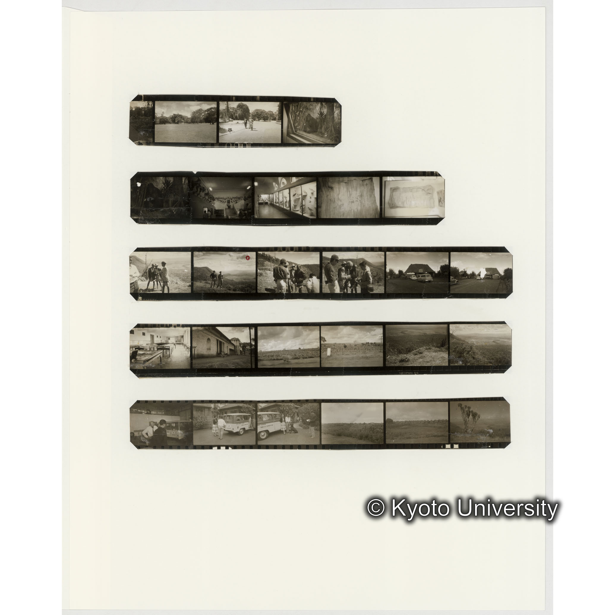 [ネガフィルムスリーブ33]「６５３」 (2)