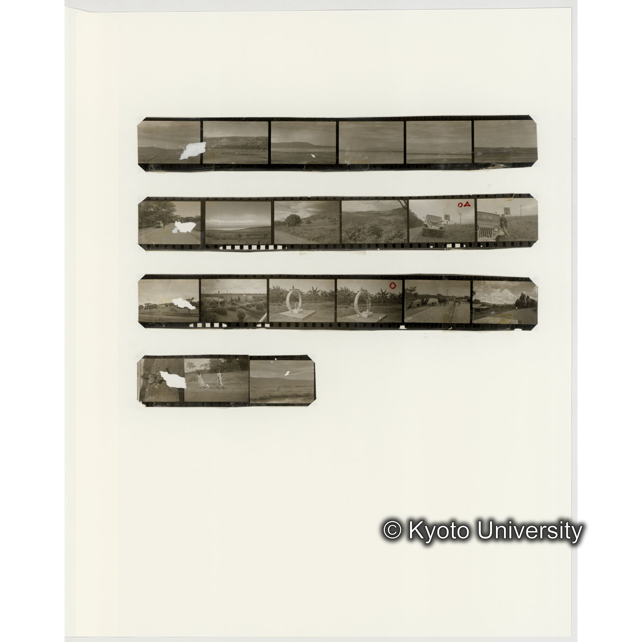 [ネガフィルムスリーブ34]「６５４」 (2)