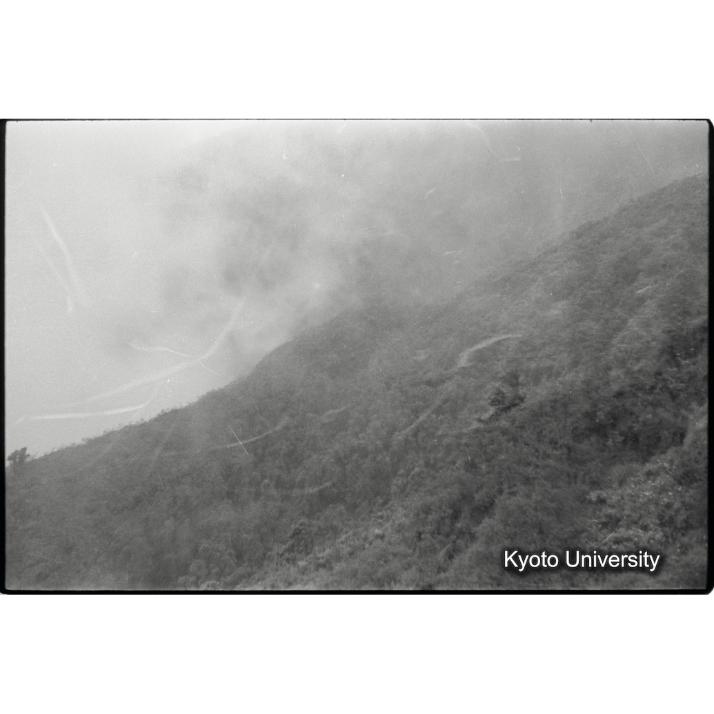 [２９コマ目]「×」 (1)