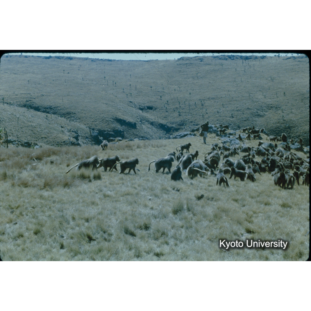 Sm　1973　40　（N）[赤色, 丸囲み] (1)