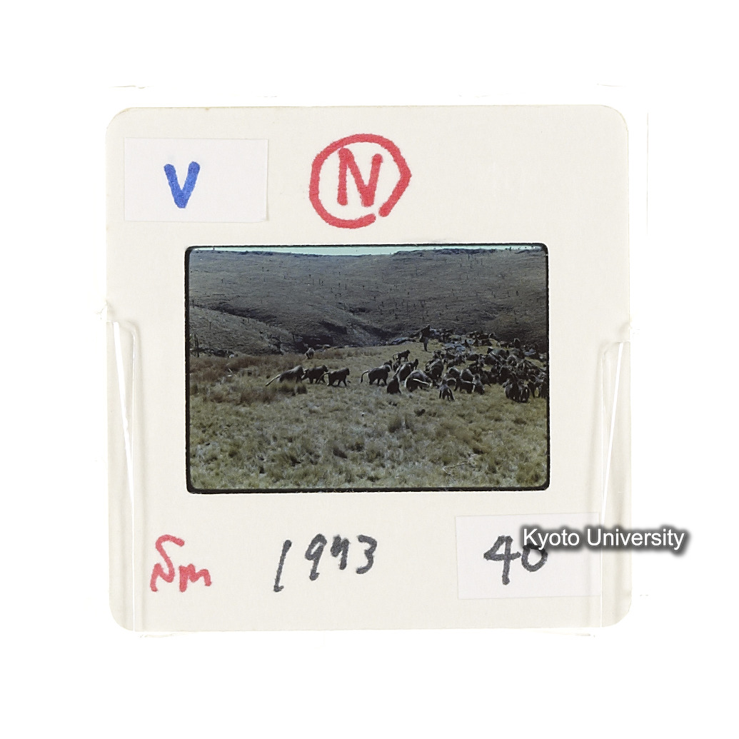 Sm　1973　40　（N）[赤色, 丸囲み] (2)