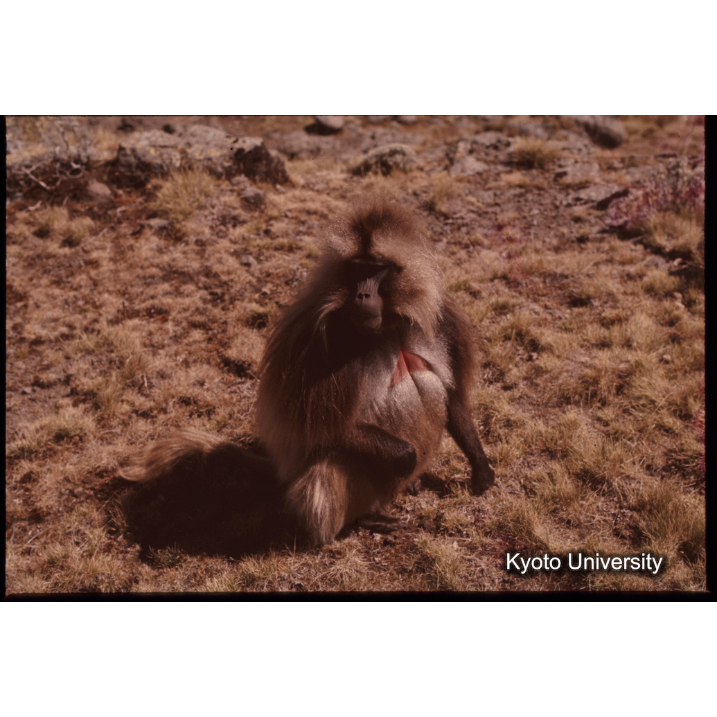 Sm　1973　1399 (1)