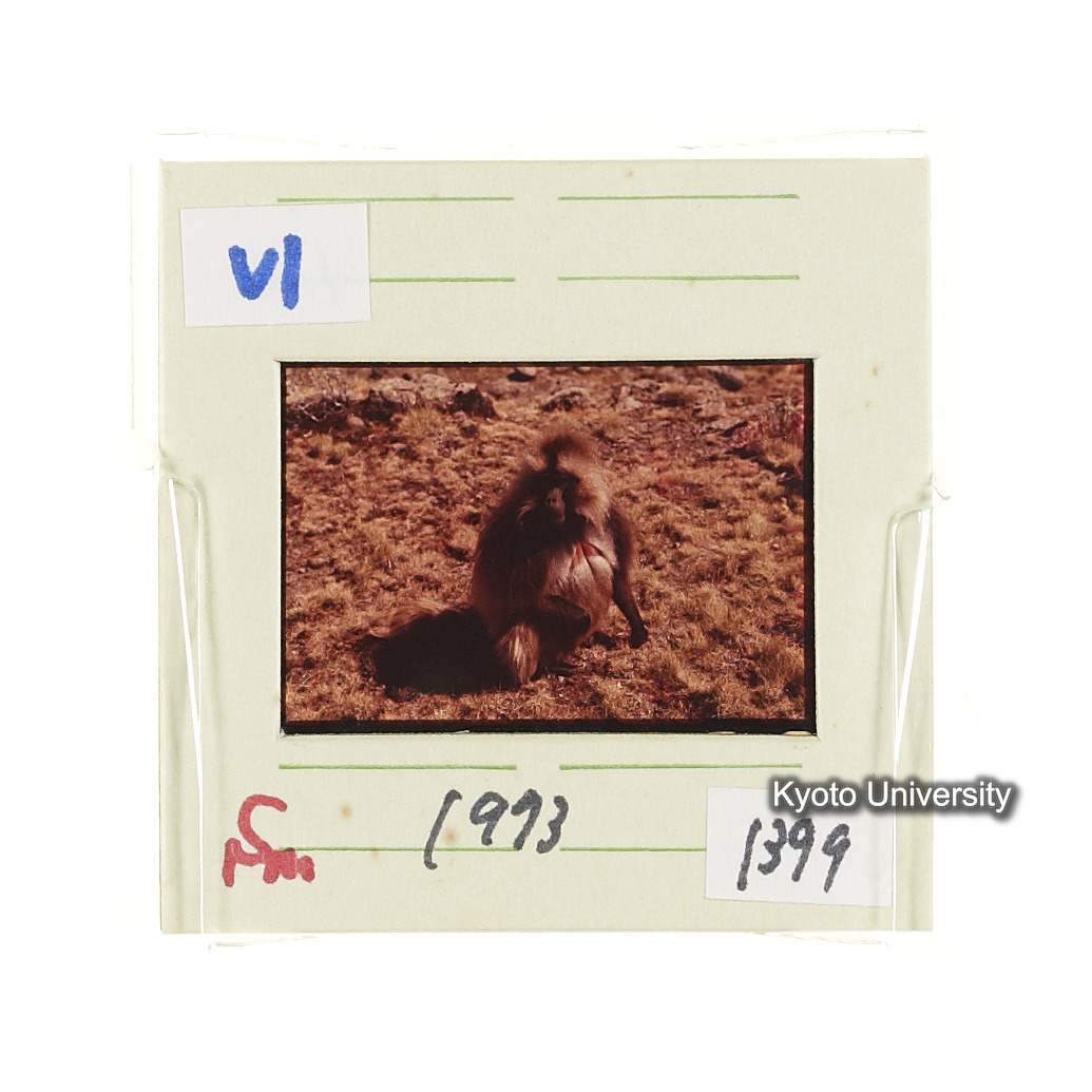 Sm　1973　1399 (2)