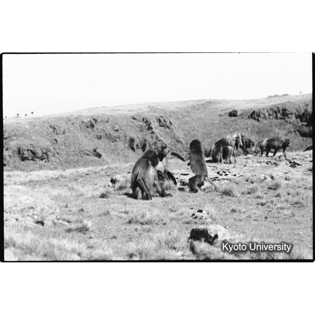 [４コマ目]「あそび（１）」 (1)