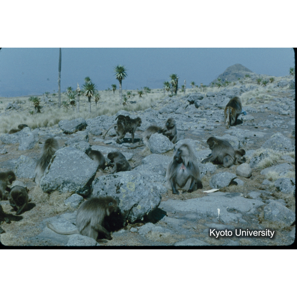 Sm　1973　12　（N）[赤色, 丸囲み] (1)