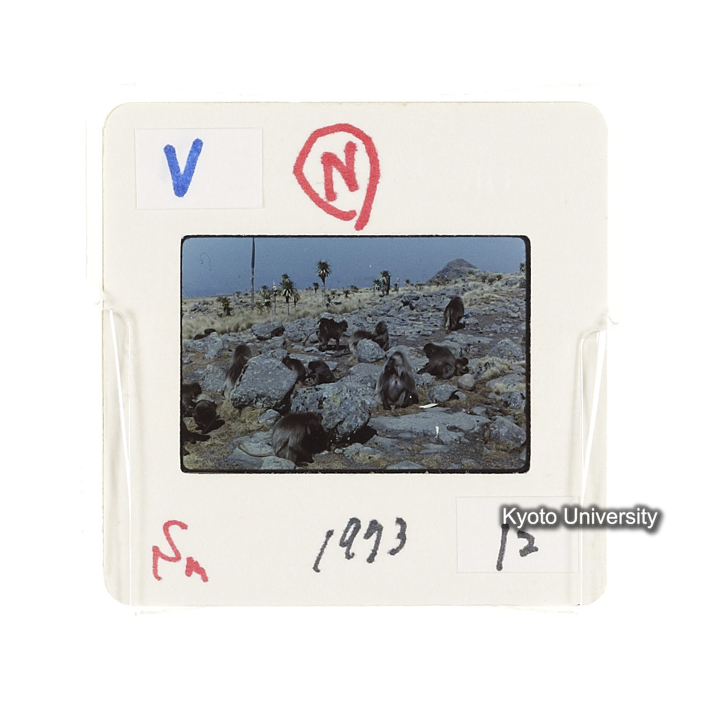 Sm　1973　12　（N）[赤色, 丸囲み] (2)