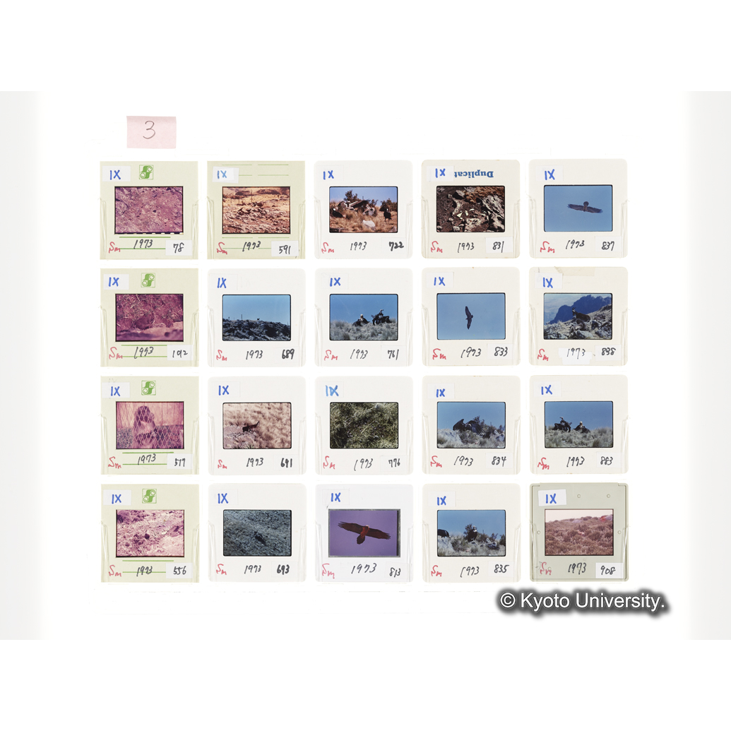 [スライドシート] 3 (1)