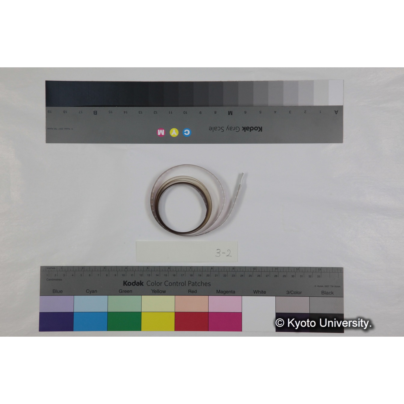 "Gelada socity in Semien （1973）" フッテージ (3)