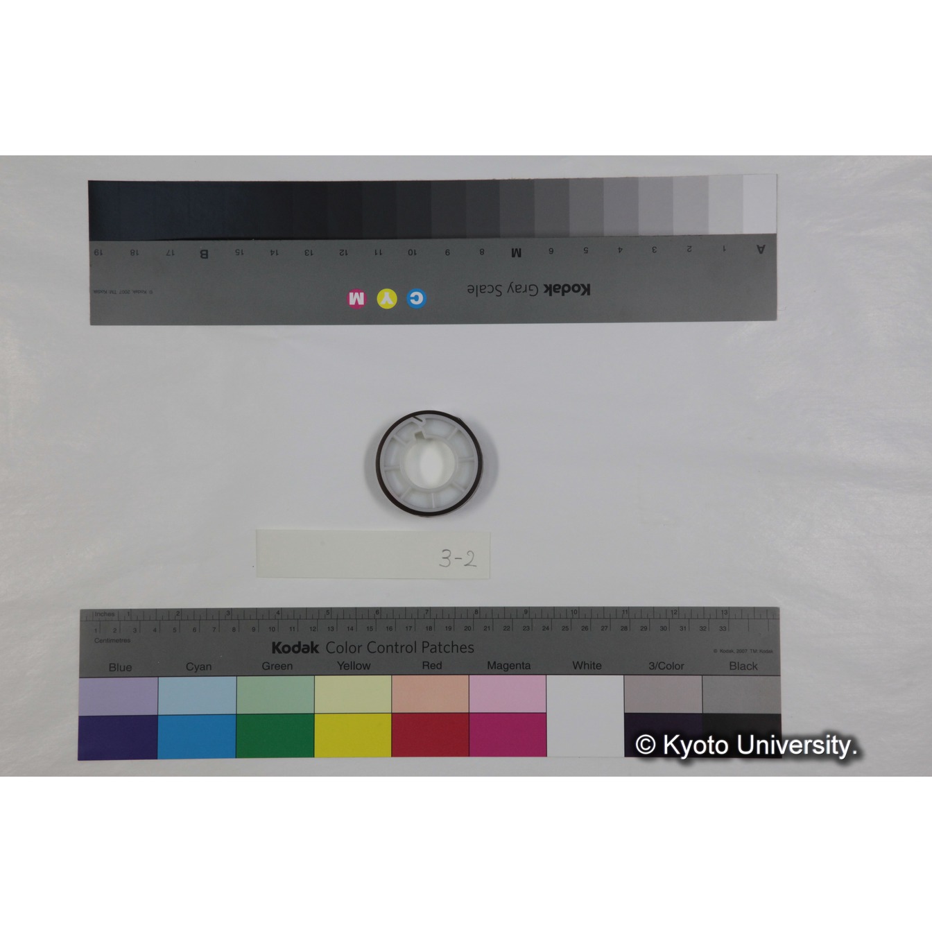 "Gelada socity in Semien （1973）" フッテージ (4)