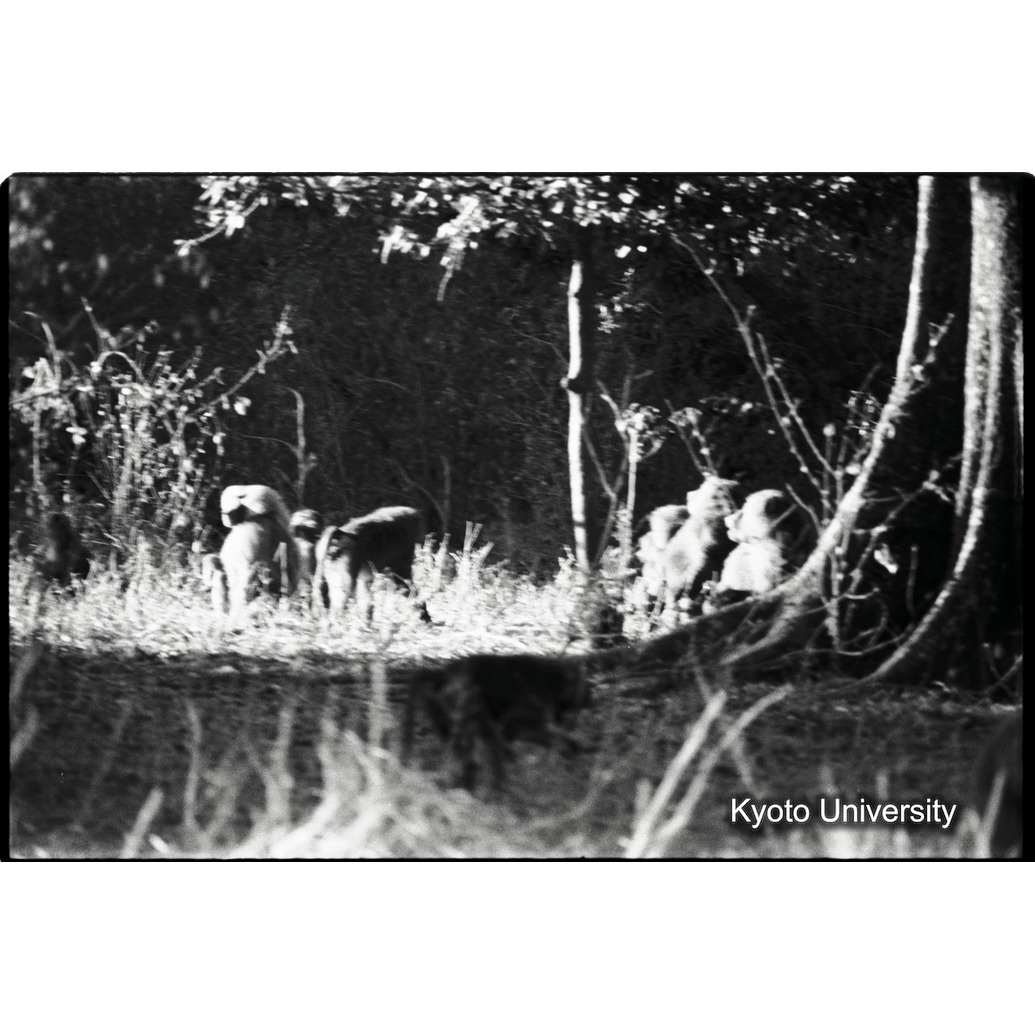 [１７コマ目]「×」 (1)