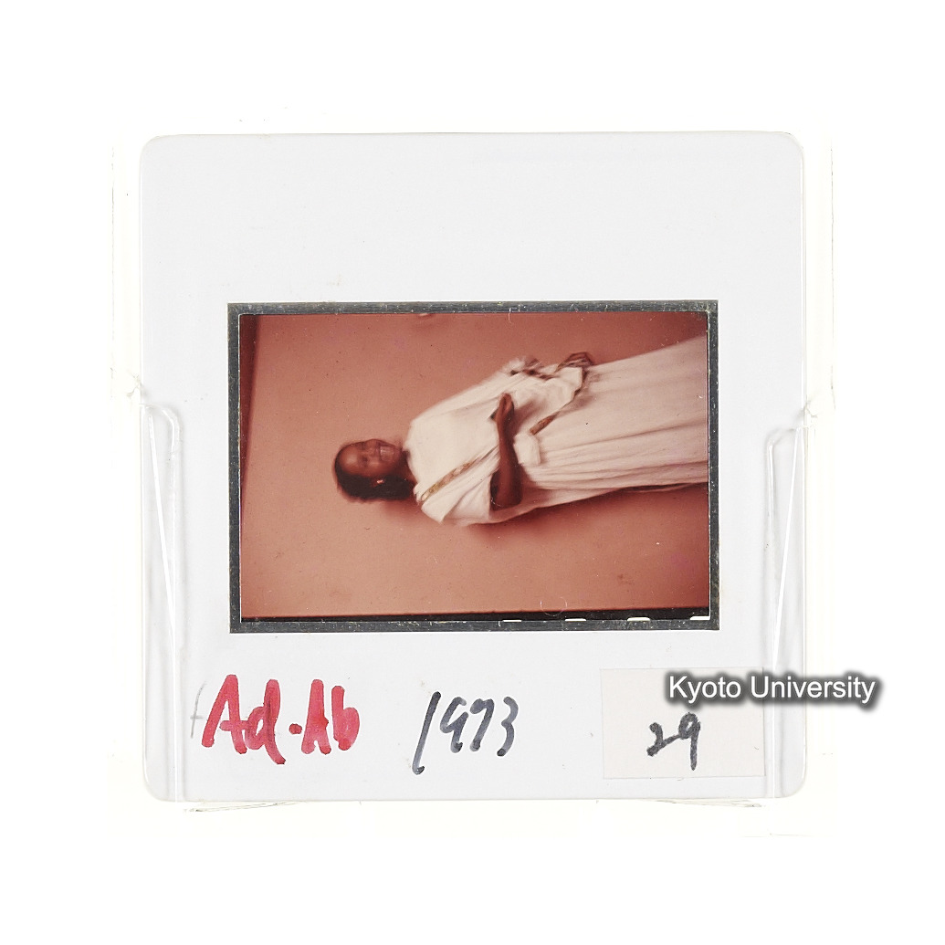 AdAb　1973　29 (2)