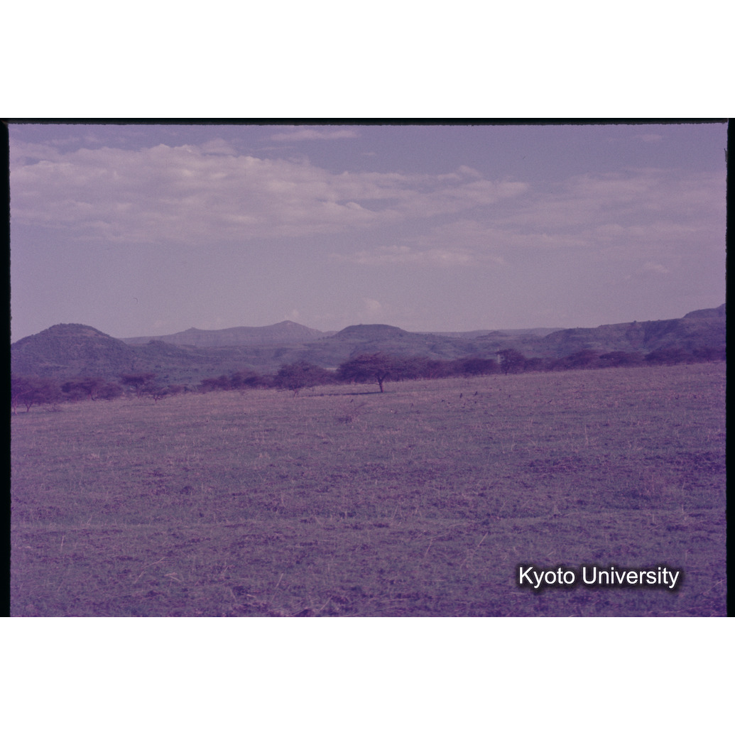 Sm　1973　1064 (1)