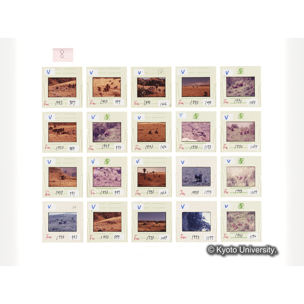 [スライドシート] 8 (1)