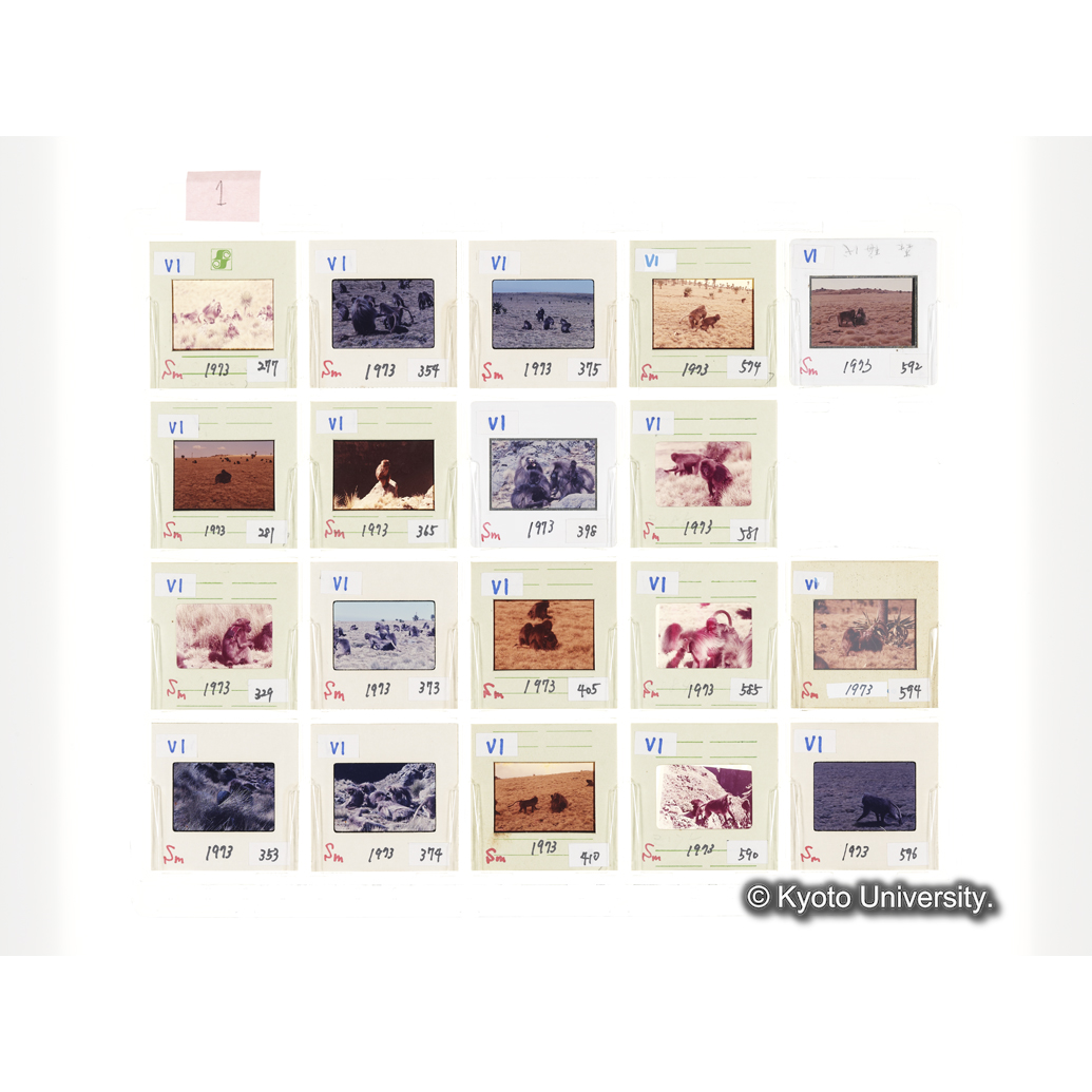 [スライドシート] 1 (1)