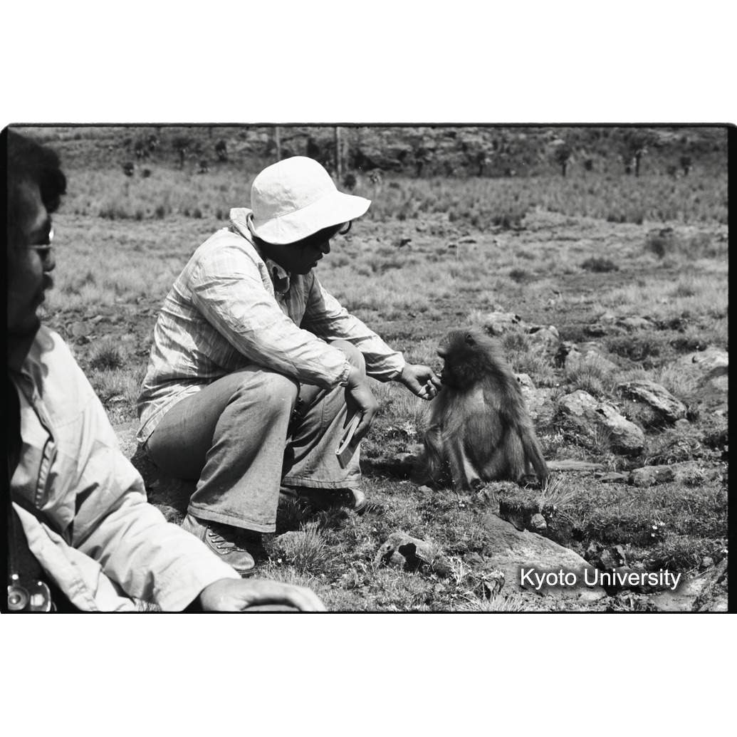 [１２コマ目]「森梅代とエテグ（３）」 (1)