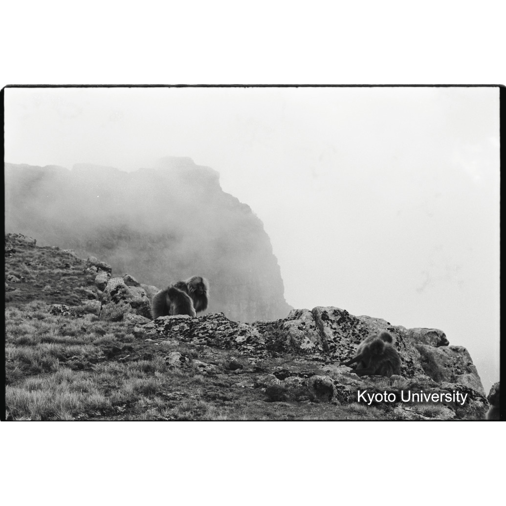 [１５コマ目]「谷から雲が湧いてくる」 (1)