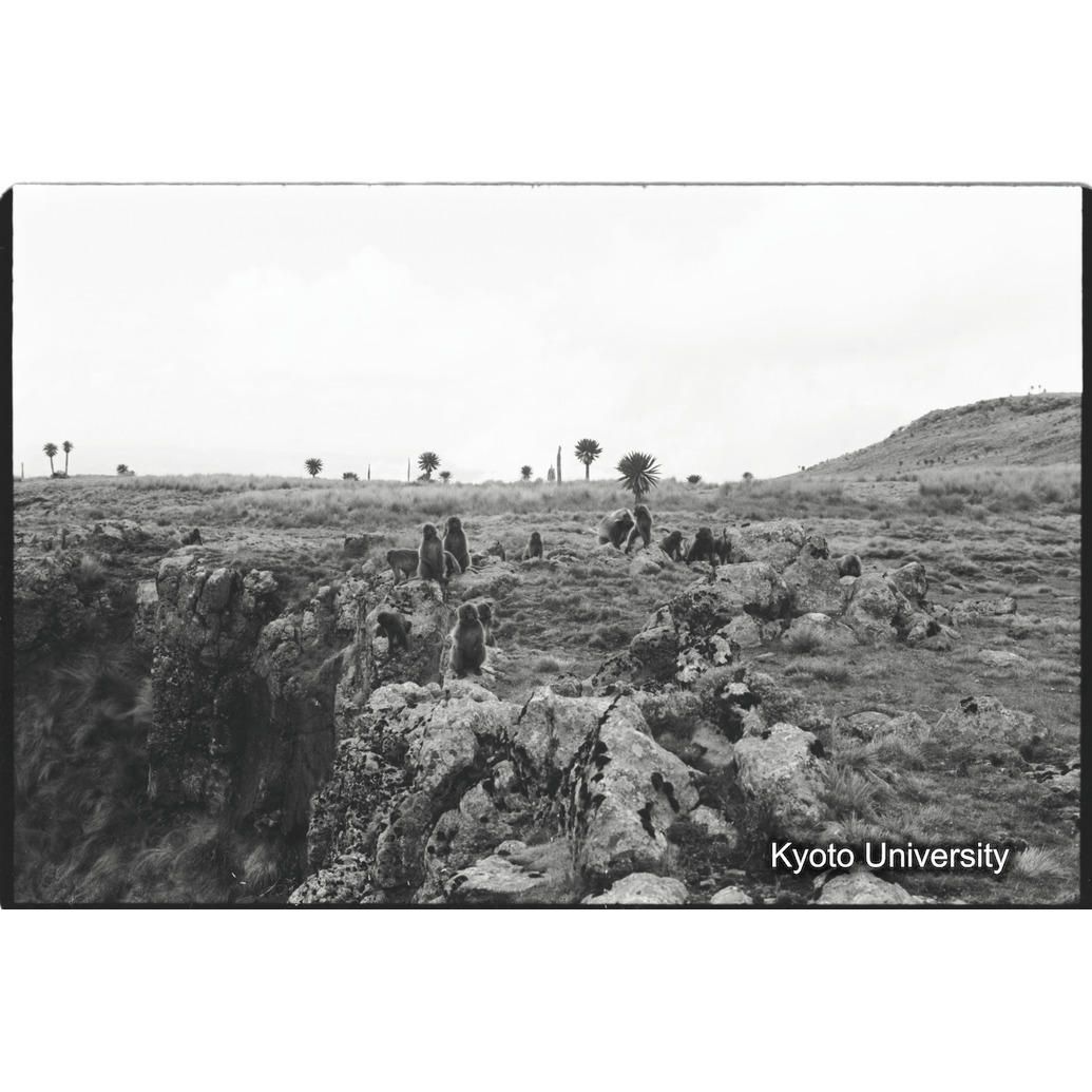 [１７コマ目]「Eバンドの風景」 (1)