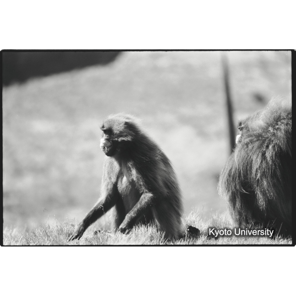 [２８コマ目]「Eバンドの雄グループ（６）」 (1)