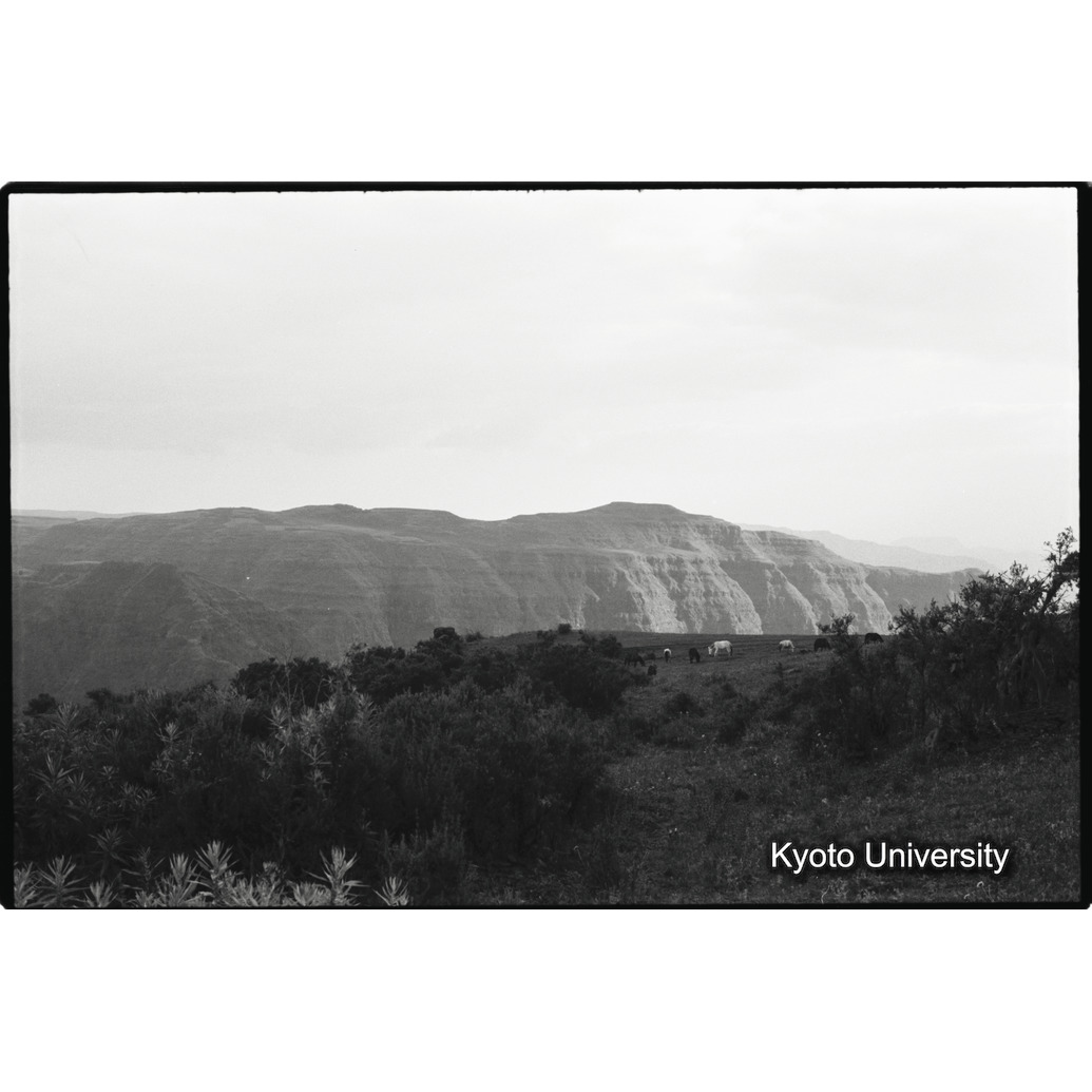 [１６コマ目]「アンバラス台地」 (1)