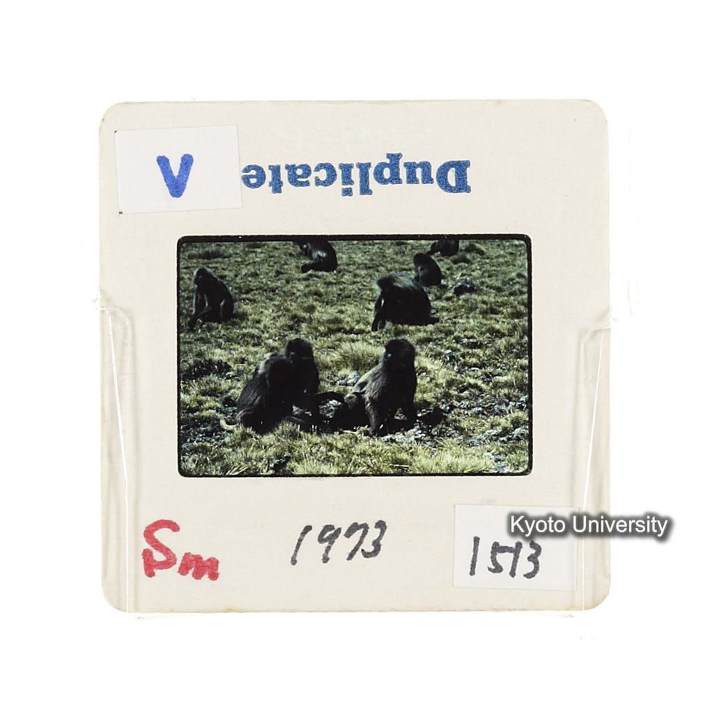 Sm　1973　1513 (2)