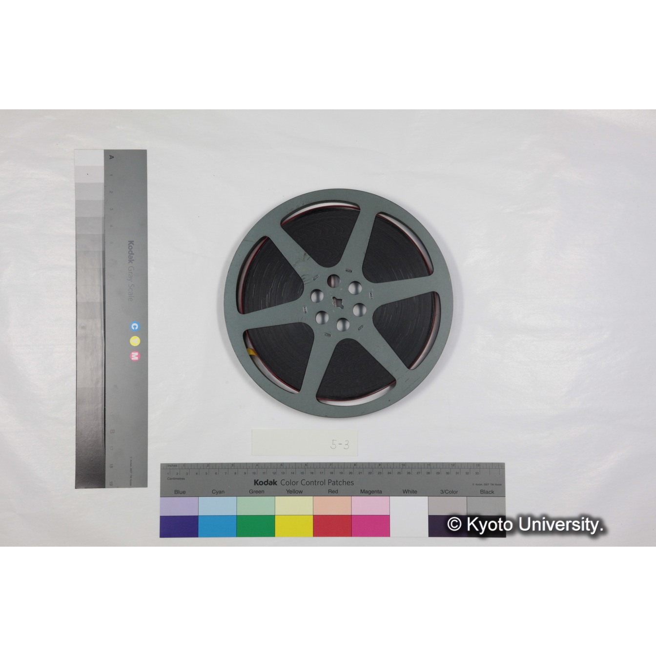 放送記録映像フィルム「自然のアルバム　高原のヒヒ」 (4)